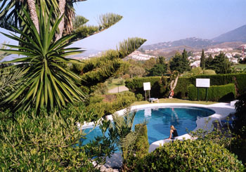 Aloha Pool
