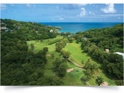Executive Golf Tours